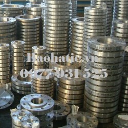 Bích rỗng inox D50, D65, D80, D100, D125, D150, D200, D250, D300, D350, D450, D500, D600